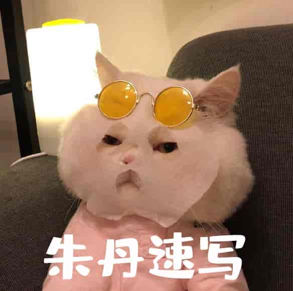 朱丹人物速写基础课【画质一般】