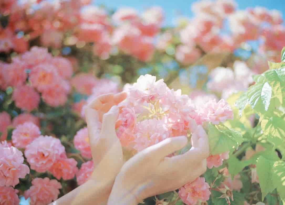 overwater摄影班第二期2020【画质高清】