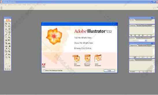 Adobe Illustrator Cs2【AI cs2】简体中文开心版