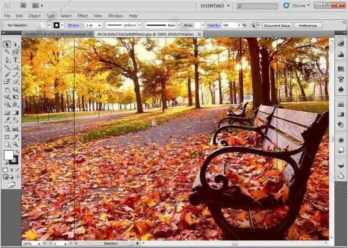 Adobe Illustrator Cs【AI cs V11.0】简体中文开心版