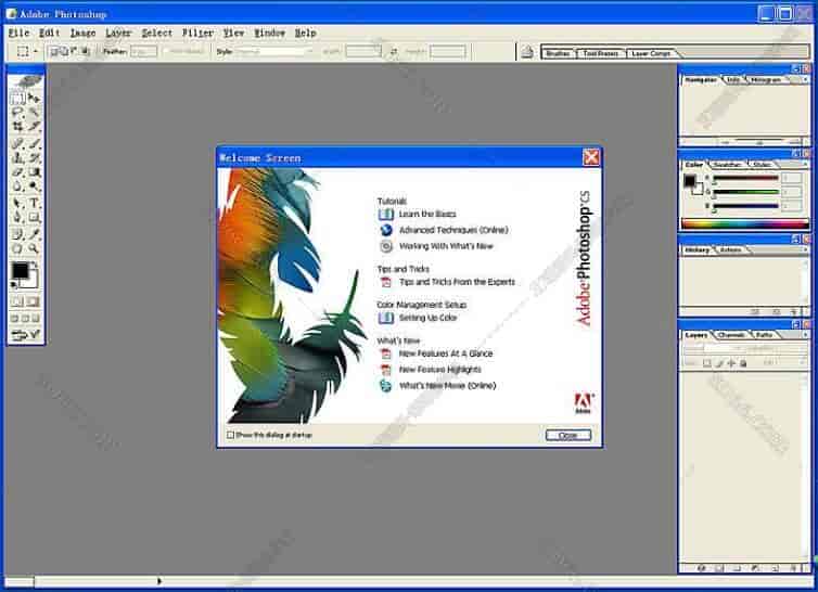 PhotoShop8.0【Adobe Photoshop 8.0】(PS8)官方简体中文开心版
