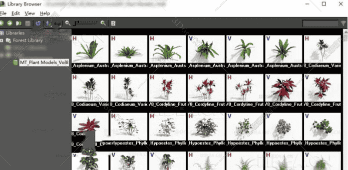 162款不同花色3DMax植物模型库Plant+Asset Lists Plugin Vol.8