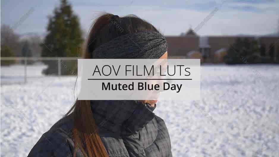 12组高质量LUT视频调色预设 – AOV-Film-Video LUTs