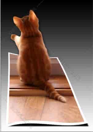 PS动作: 摄影师 / 平面设计师流行的照片框一键效果