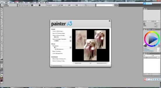 Corel Painter X3【Painter X3中文版】中文开心版