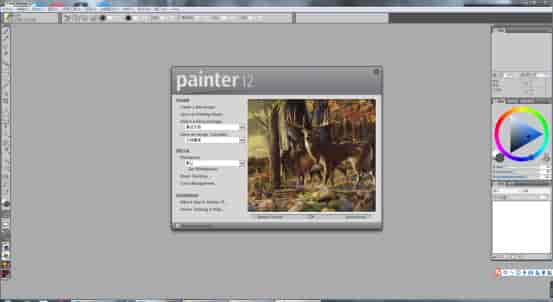 Corel Painter 12开心版【Painter 12中文版】中文版