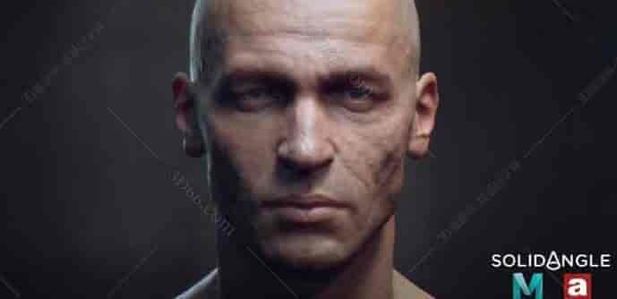 Maya渲染器：Solid Angle Arnold v2.0.2.3