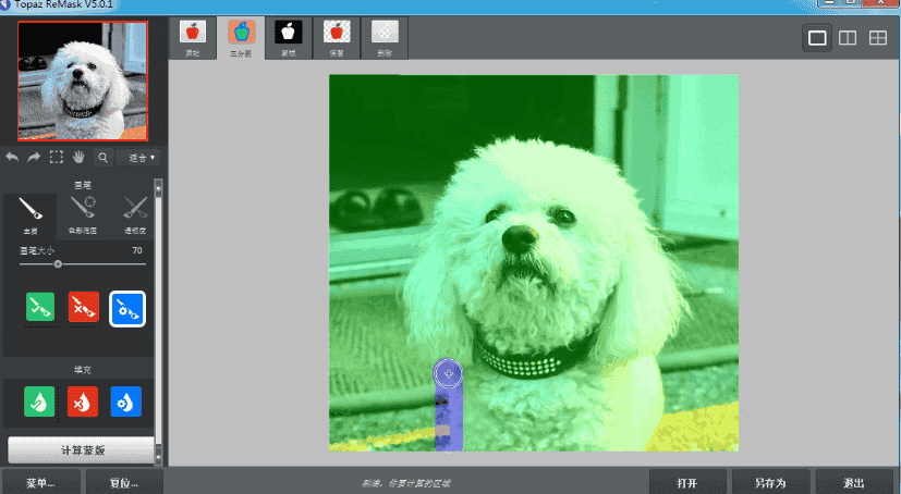 Topaz Remask 5中文开心版