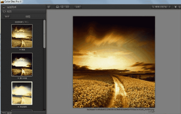 PhotoShop ColorEfexPro4-pl-ver4.005all插件中文开心版【PS ColorEfexPro4】