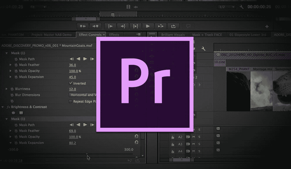 Adobe Premiere pro 2.0【Premiere2.0】P2.0简体中文开心版