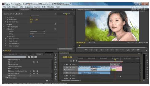 Adobe Premiere pro 2.0绿色稳定版下载