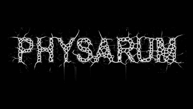 AE模拟有机生物绒泡菌霉变增长动画插件:Physarum v1.1 中文版免费下载