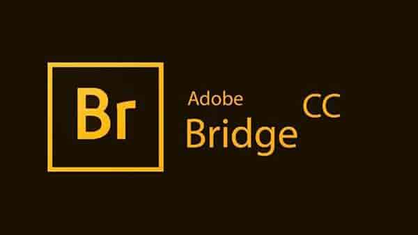 Bridge CC2021 for Mac M1 V11.1【支持M1芯片版Br】中文开心版下载