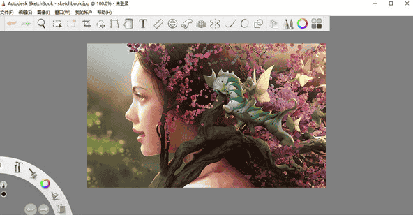 Autodesk Sketchbook 8【画图工具附安装教程】免费开心版