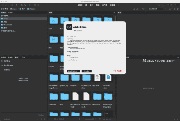 Adobe Bridge 2022 For Mac版【支持M1芯片】中文开心版下载