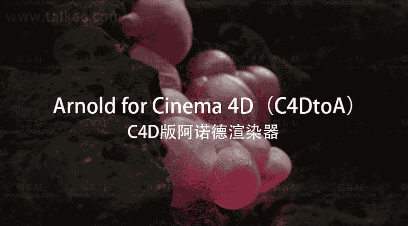 C4D阿诺德渲染器Arnold SolidAngle C4DtoA 4.2.4 R21/R22/R23/R24/R25/R26开心版下载