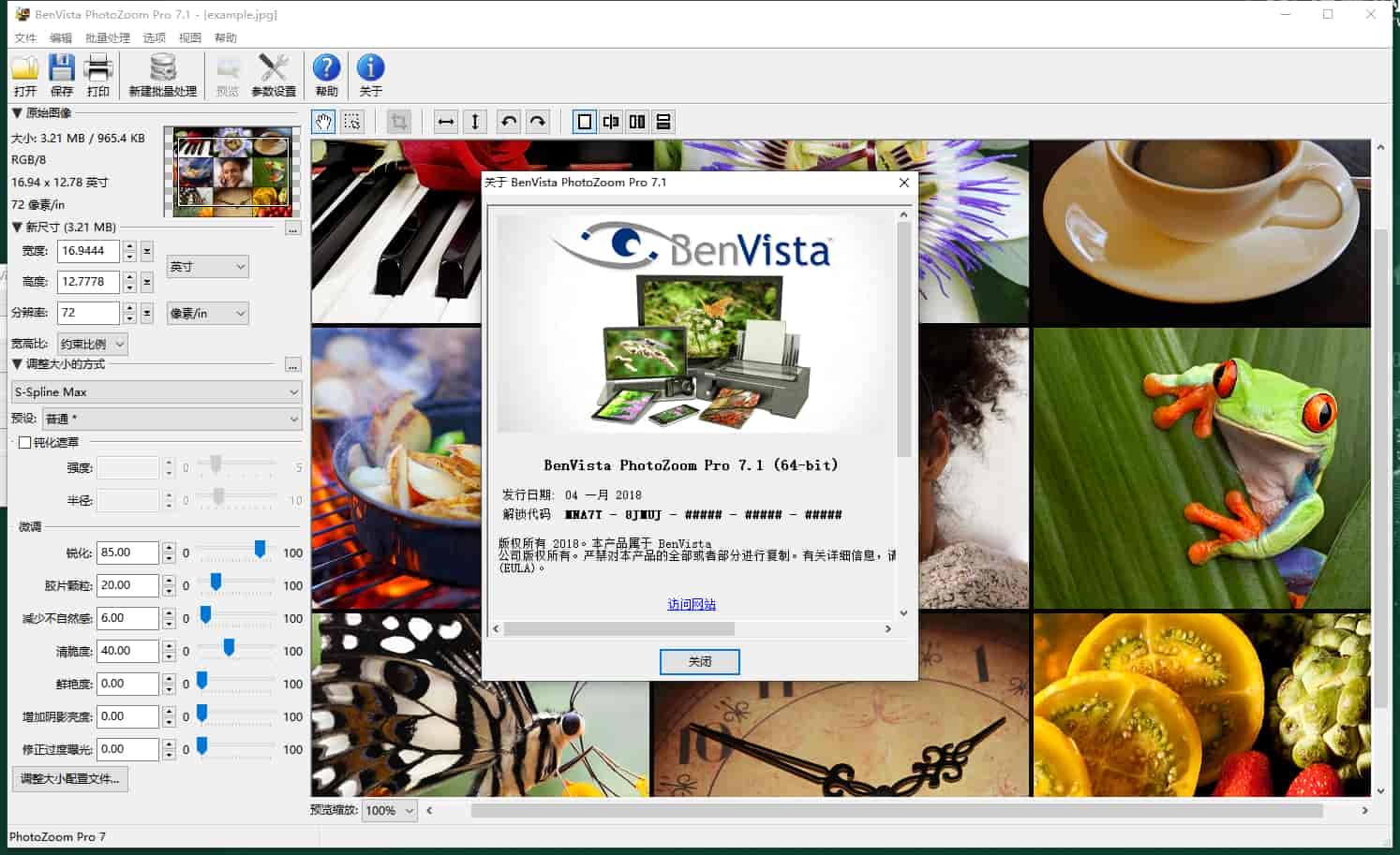Benvista PhotoZoom Pro v7.1 中文开心版