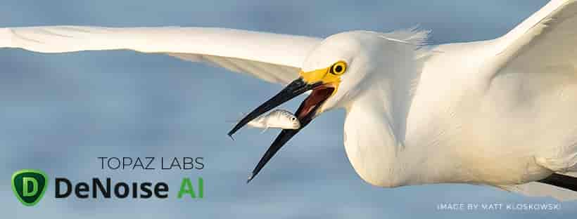 Topaz DeNoise AI v3.6.2汉化版下载+安装教程
