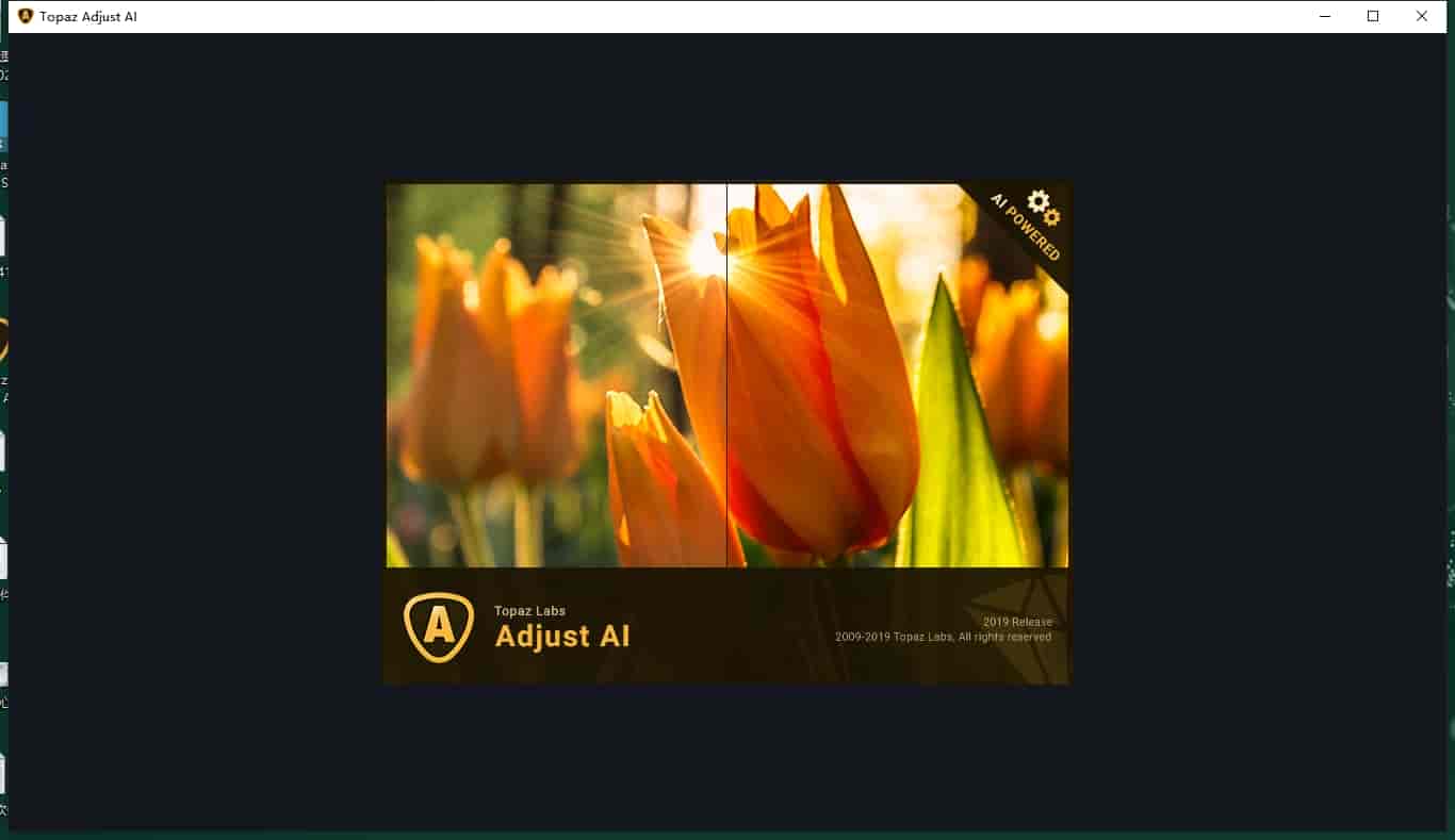 Topaz Adjust AI v1.0.5 汉化开心版