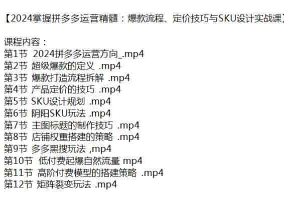 2024拼多多运营精髓技巧课，SKU设计、标题制作技巧、店铺权重搭建等