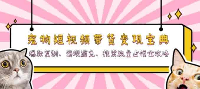 宠物短视频营销变现拆解，宠物电商从避免违规到复盘优化全流程源