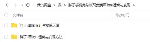 【缺课】胖丁画师IP运营与变现方法+图案设计与接单运营【画质不错只有视频】