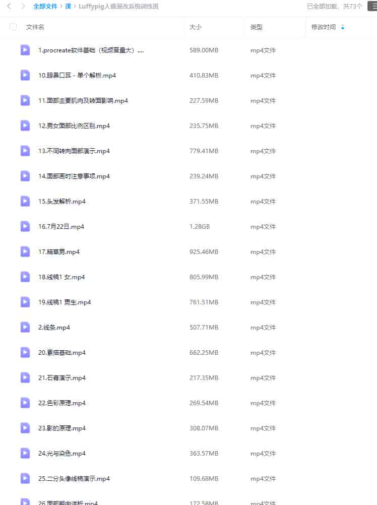 Luffypig人像漫改系统训练班2023【画质不错只有视频】