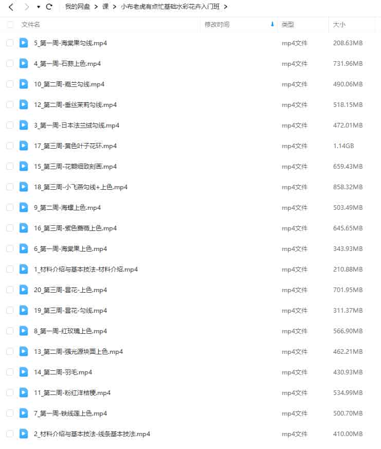 小布老虎有点忙基础水彩花卉入门班【画质不错只有视频】