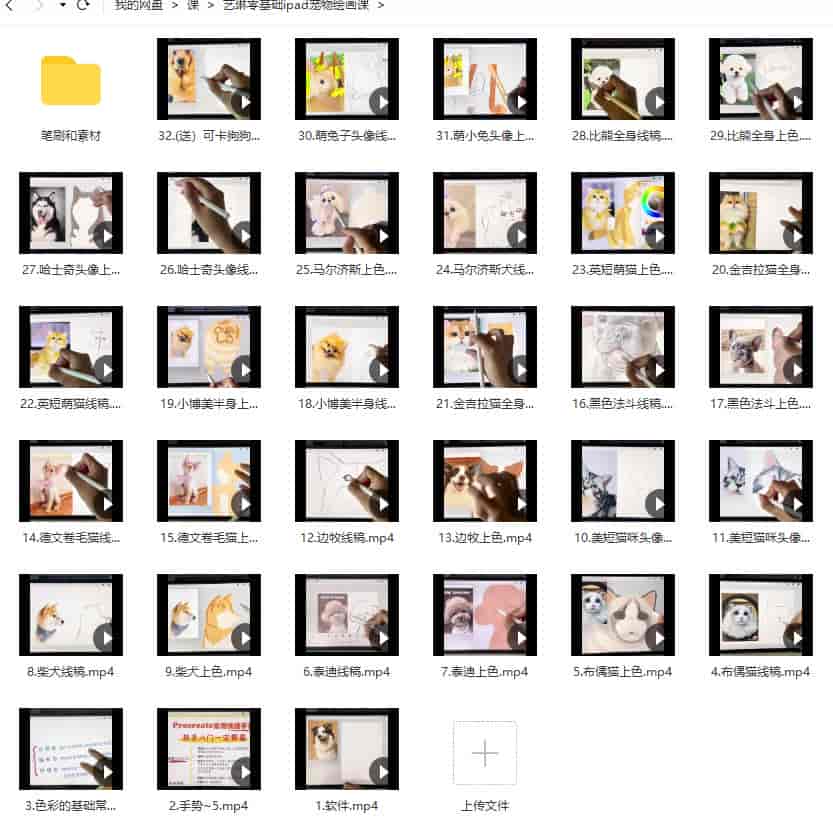 艺琳零基础ipad宠物绘画课2022【画质高清有笔刷素材】