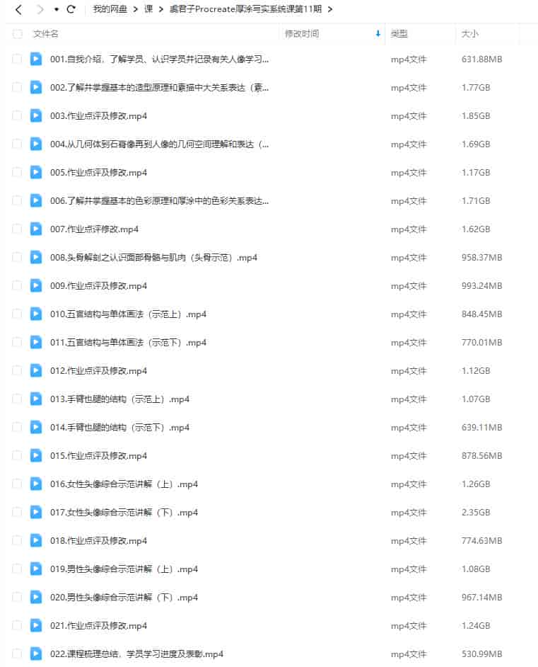 虞君子Procreate厚涂写实系统课第11期2024年1月结课【画质高清只有视频】