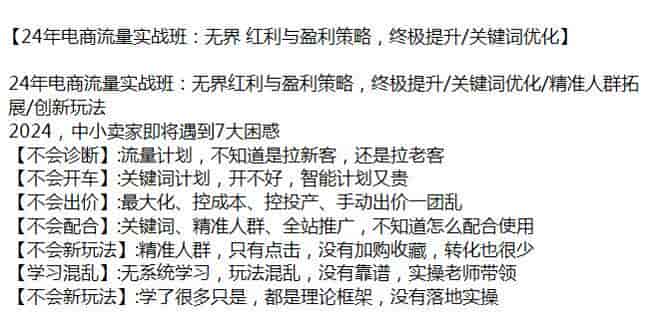 24年电商流量提升课程，无界红利与盈利策略，解决中小卖家的困惑