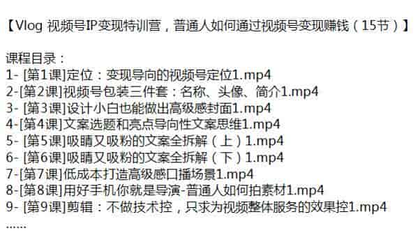 普通人通过Vlog视频号IP变现课程，视频号定位、文案拆解、私域运营等