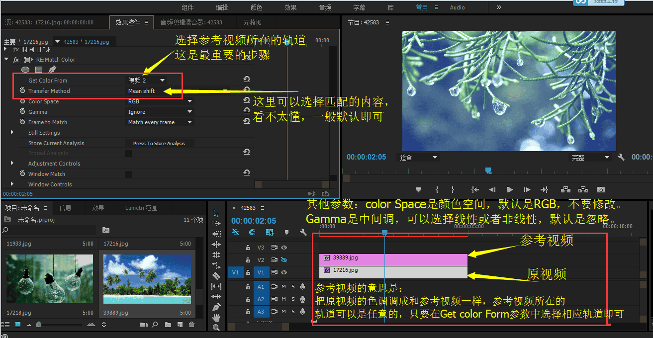 PR色彩匹配插件+RE+VisionFX+REMatch+1.4.5中文开心版