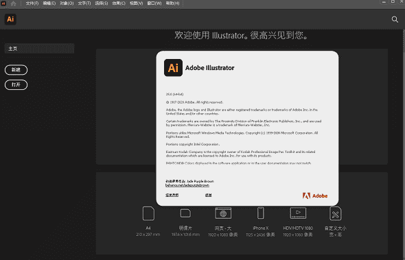 Adobe Illustrator 2021 v25.2.1下载【矢量绘图软件】官方特别版