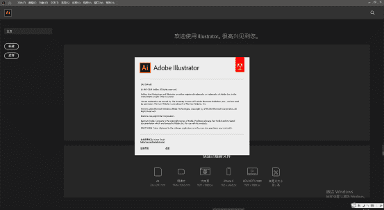 Adobe Illustrator CC2020精简版【AI CC2020中文版】绿色中文版
